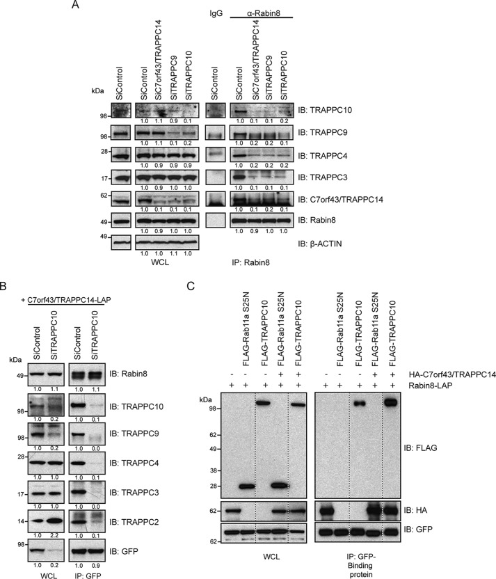 Figure 6.