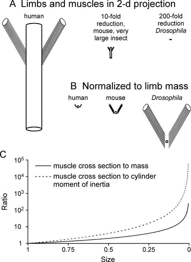 Figure 9.