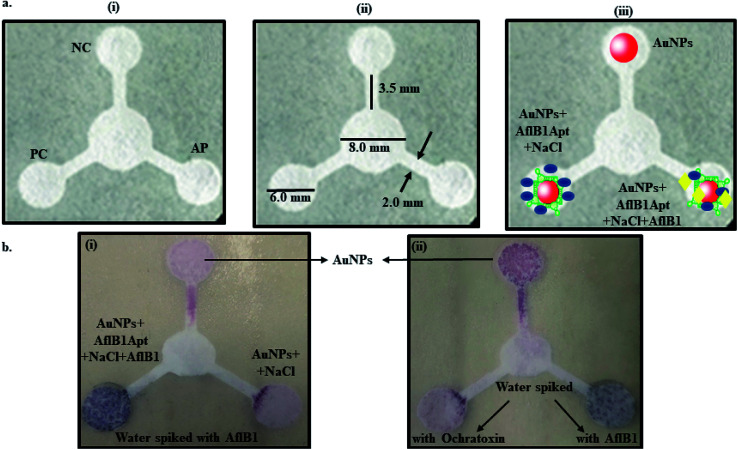 Fig. 4