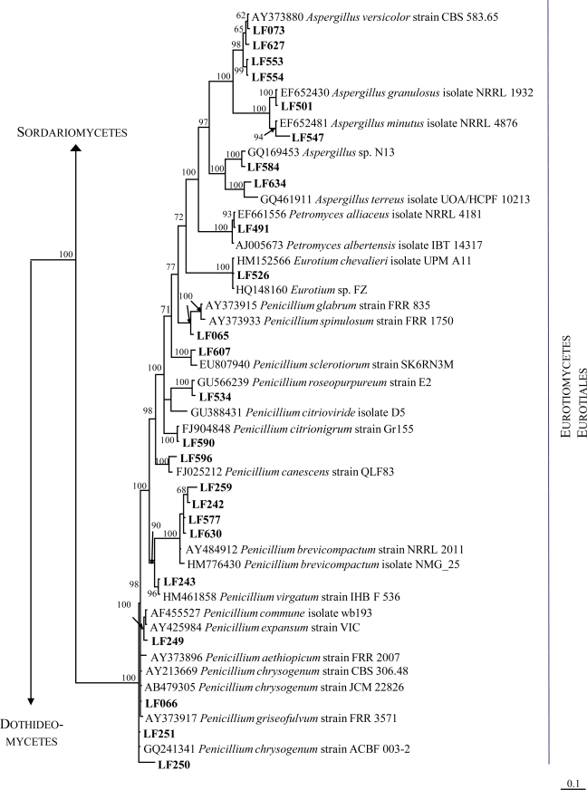 Figure 2.