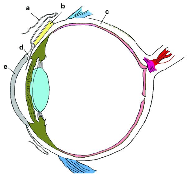 Figure1