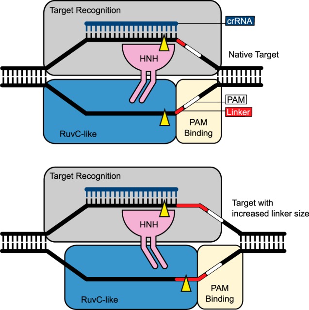 FIGURE 7.