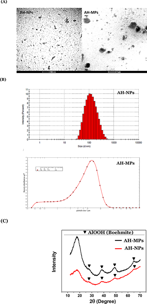 Figure 1: