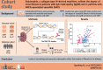 Graphical Abstract