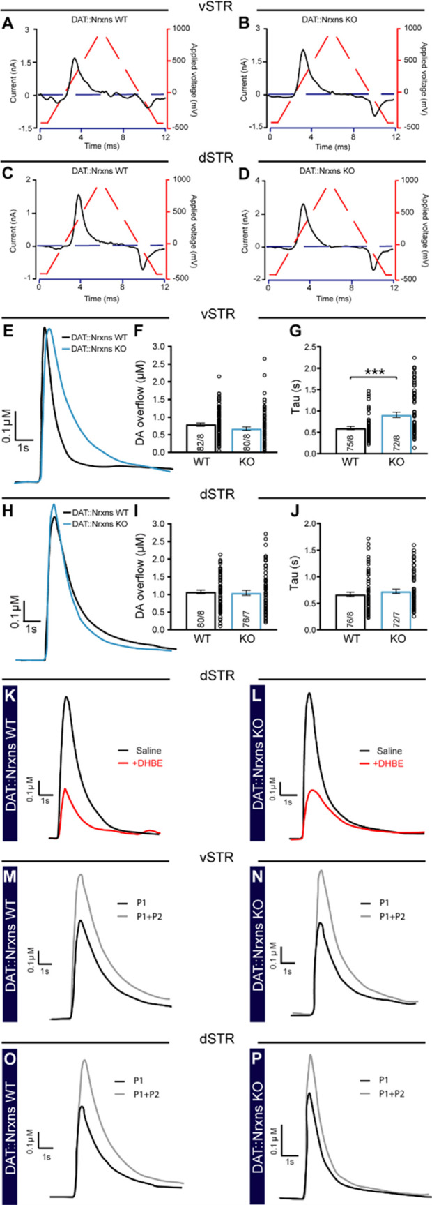 Figure 4—figure supplement 1.