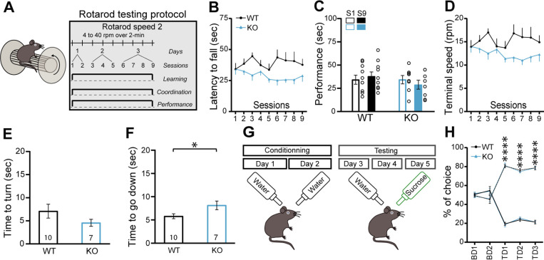 Figure 1—figure supplement 2.