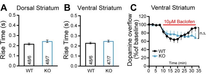 Figure 4—figure supplement 2.