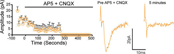 Figure 6—figure supplement 1.