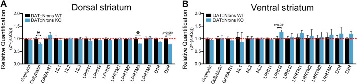 Figure 7—figure supplement 1.