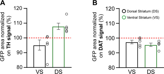 Figure 5—figure supplement 1.