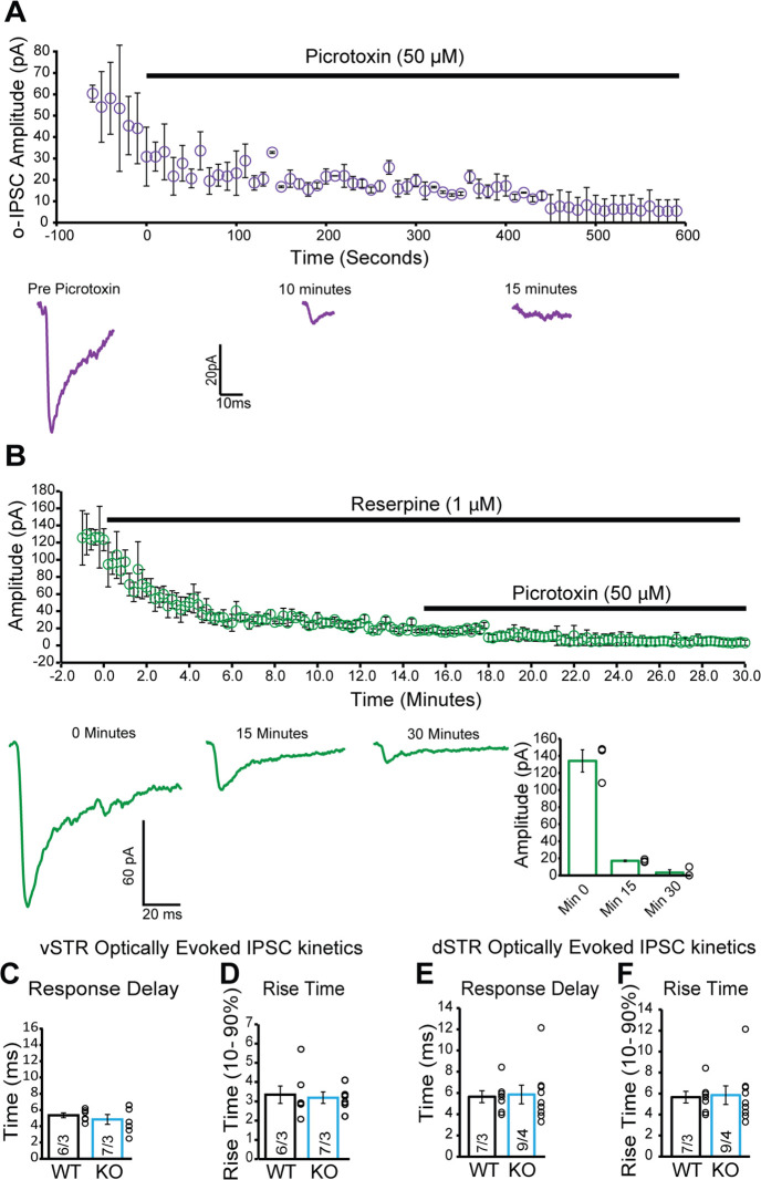 Figure 5—figure supplement 2.