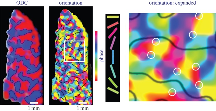 Figure 7.