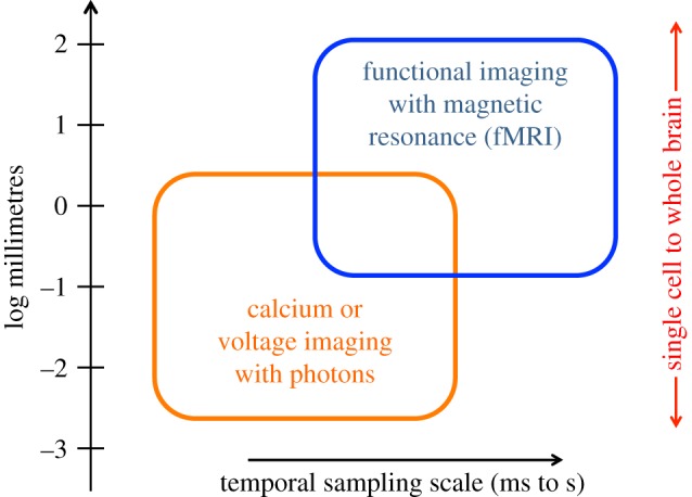 Figure 12.