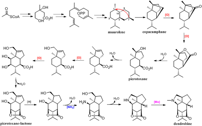 Figure 11