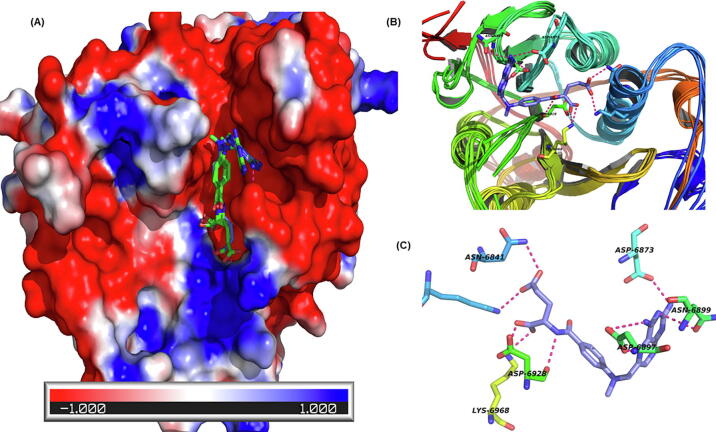 Fig. 4