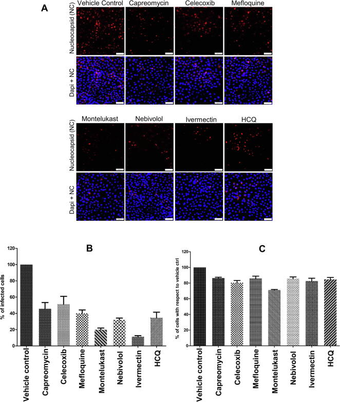 Fig. 13