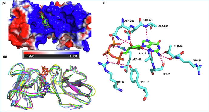 Fig. 3