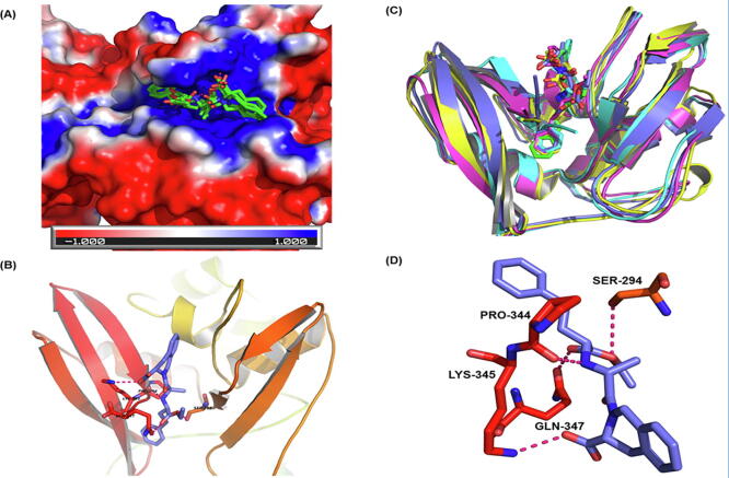 Fig. 9