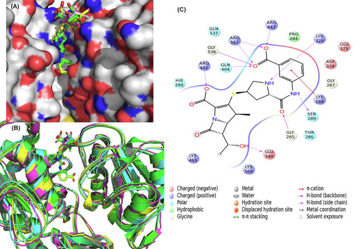 Fig. 7