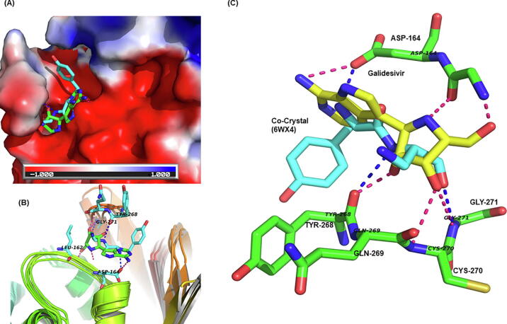 Fig. 6