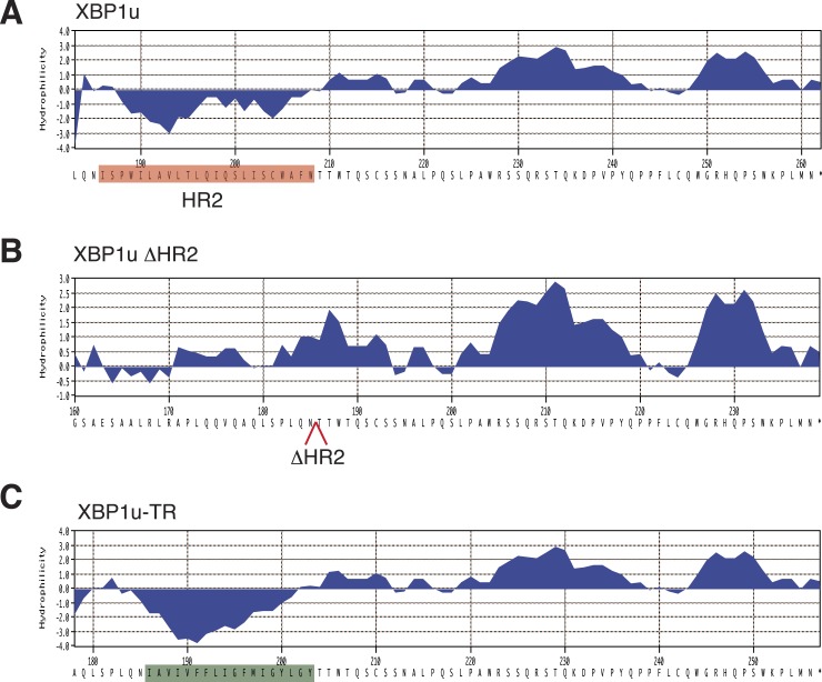 Figure 3—figure supplement 1.