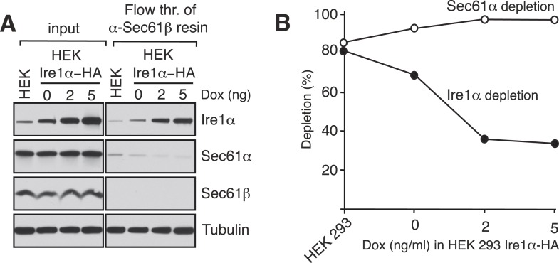 Figure 1—figure supplement 2.