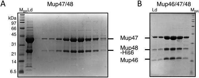 Fig. S5.