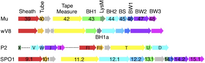 Fig. 4.