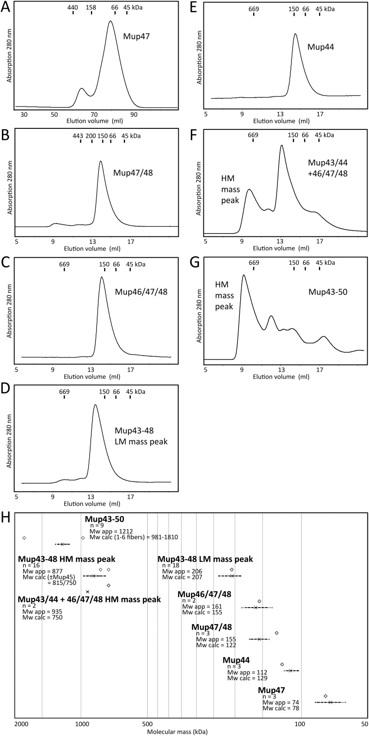 Fig. S3.