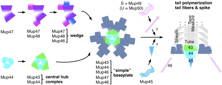 Fig. 3.