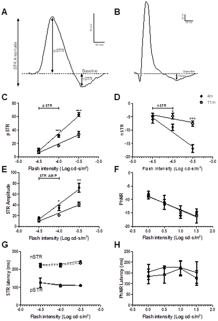 Figure 5: