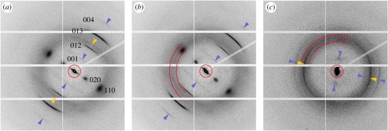 Figure 2.