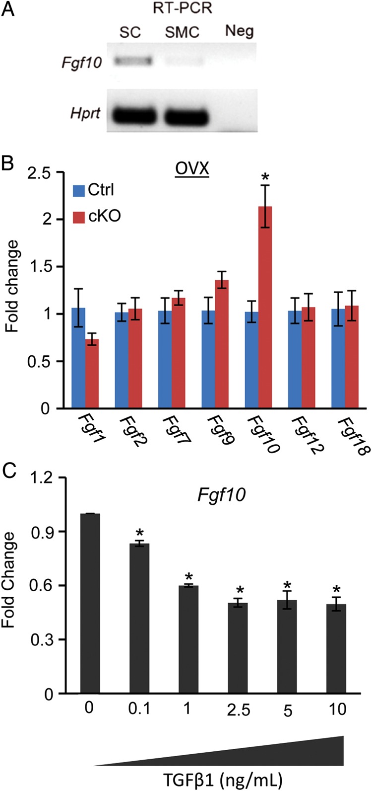 Figure 7