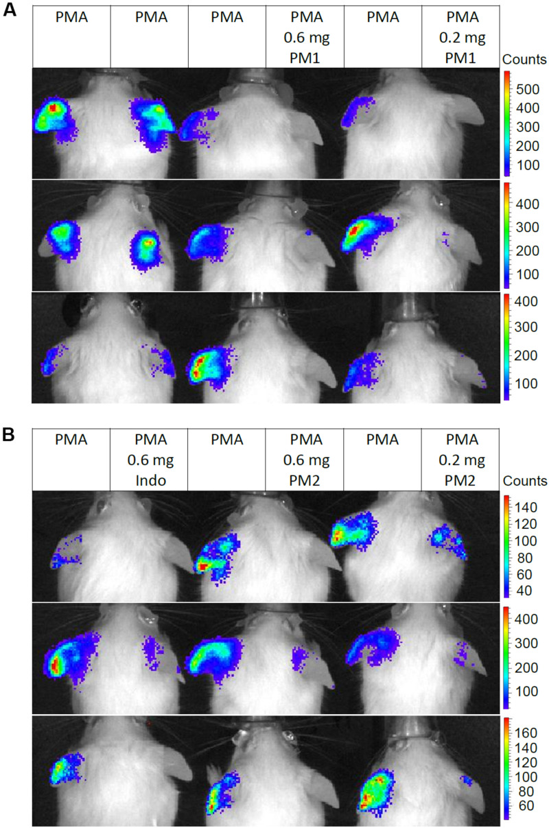 FIGURE 6