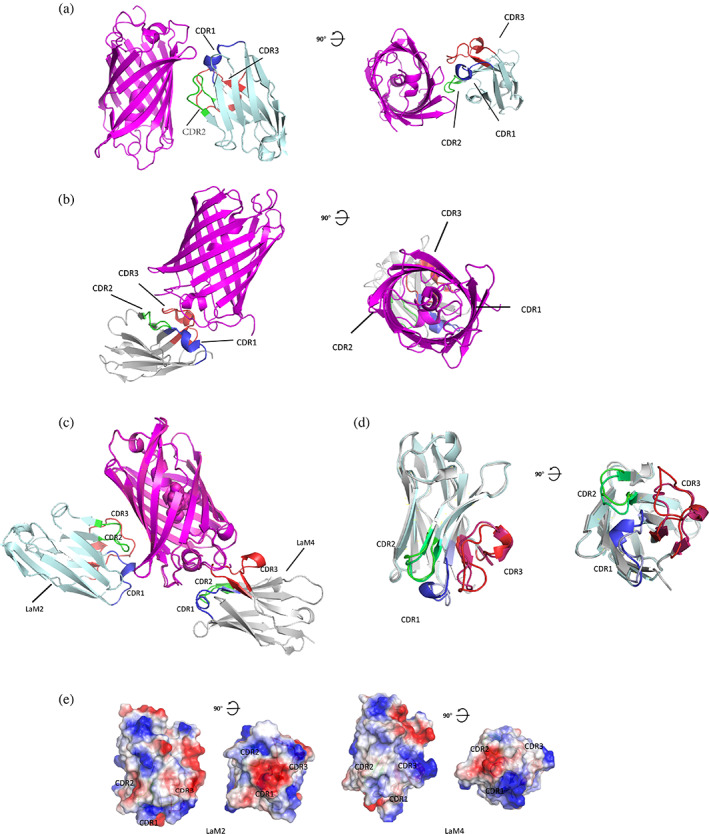 FIGURE 1