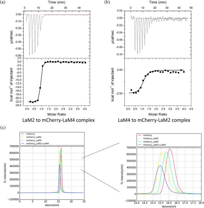 FIGURE 4