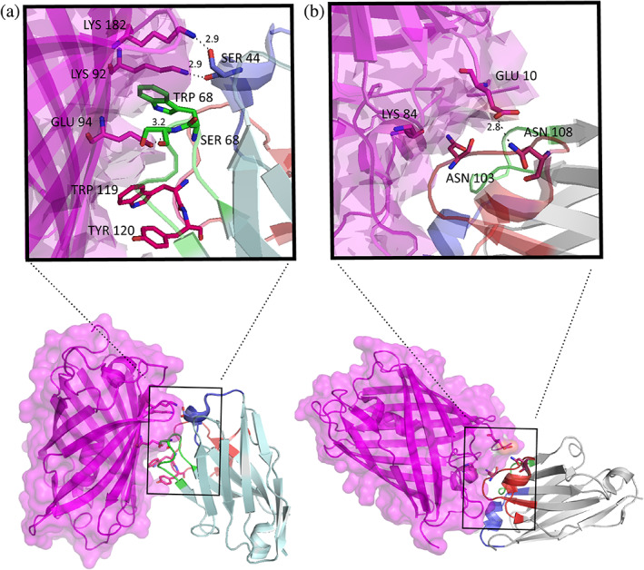 FIGURE 2