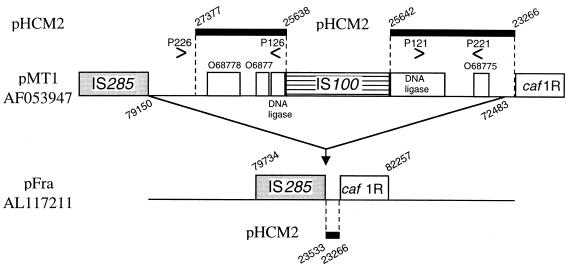 FIG. 1