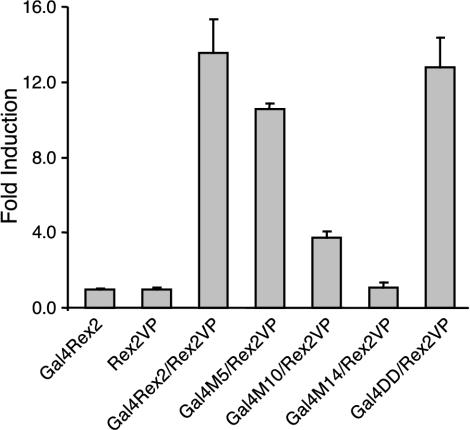 FIG. 4.