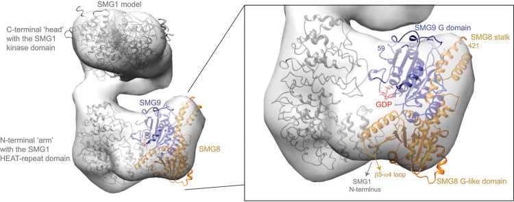 FIGURE 3.