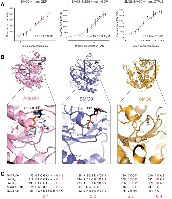 FIGURE 2.