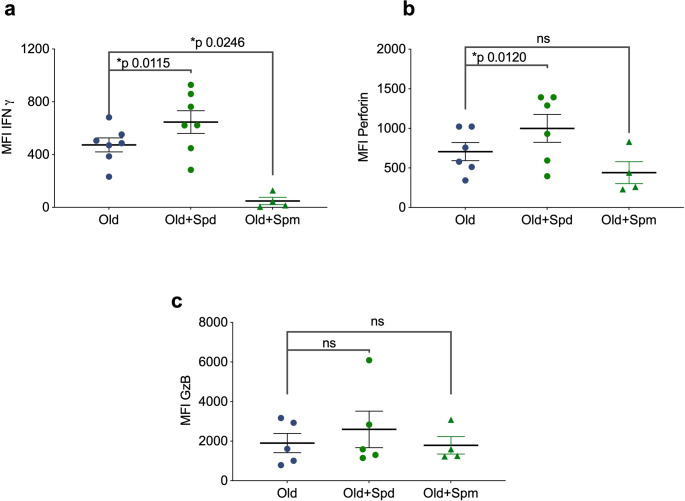 Figure 3—figure supplement 1.