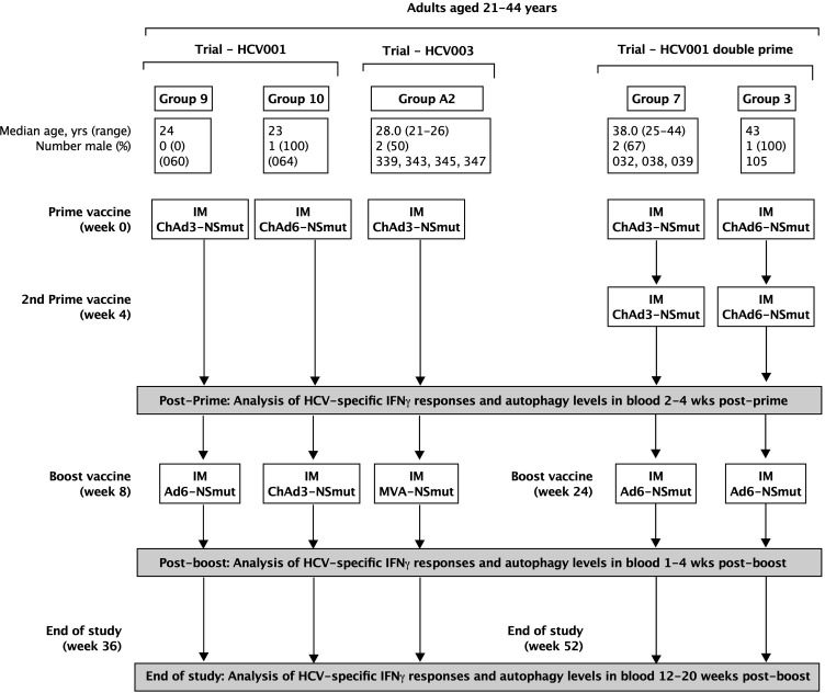 Figure 1—figure supplement 3.