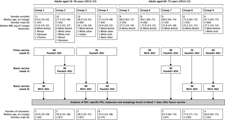 Figure 1—figure supplement 4.