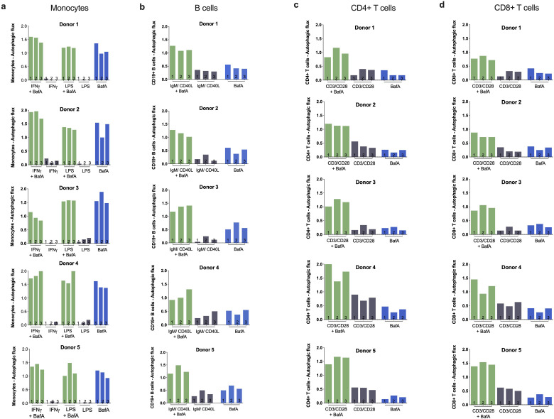 Figure 1—figure supplement 2.