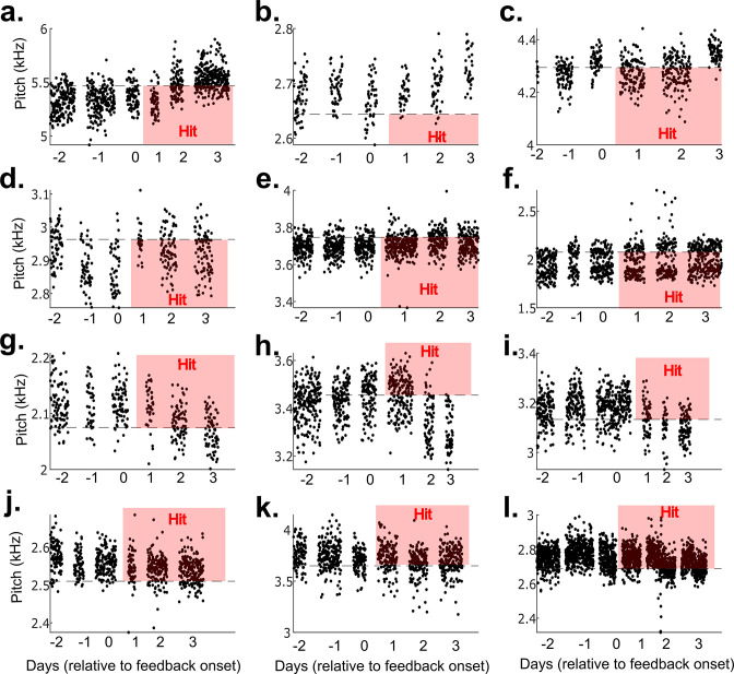 Figure 2—figure supplement 5.