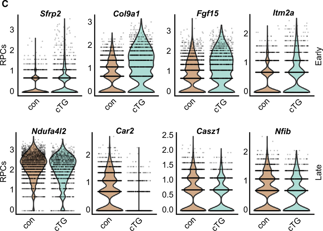 Figure 7C.