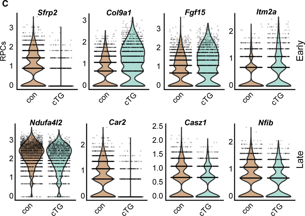 Figure 7C.