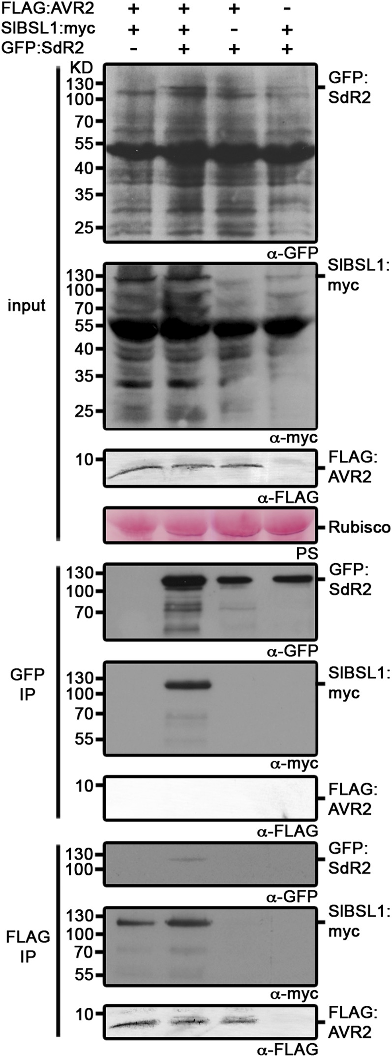 Figure 7.