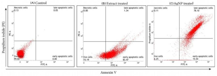 Figure 11